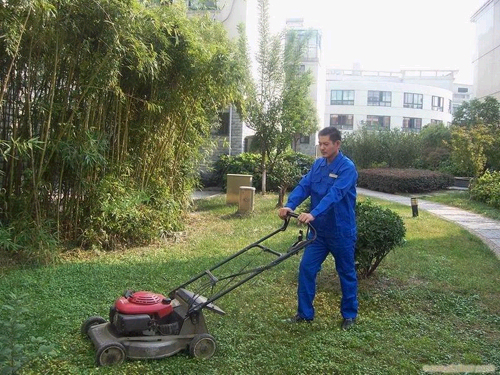 园林绿化服务